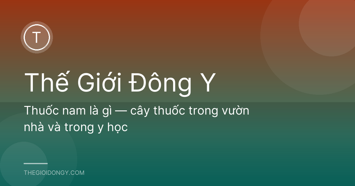 Thuốc nam là gì — cây thuốc trong vườn nhà và trong y học